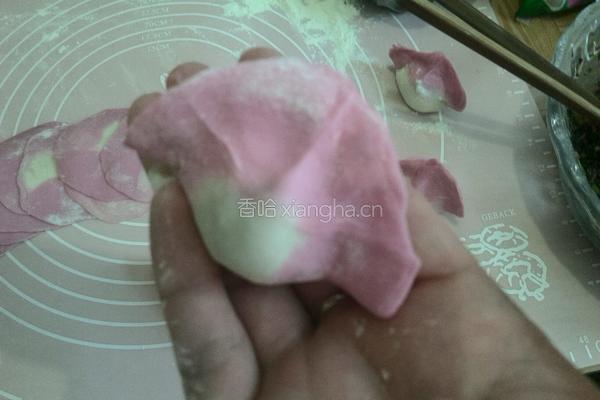 野苋菜饺子的做法图解17