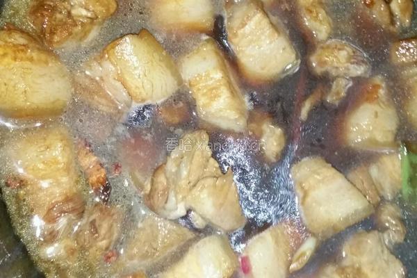 毛氏红烧肉的做法图解9