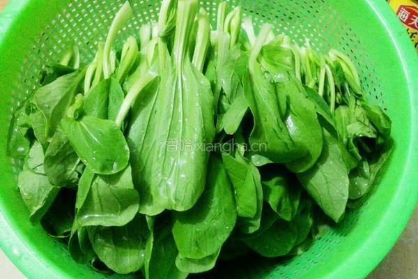 清炒青菜的做法图解2