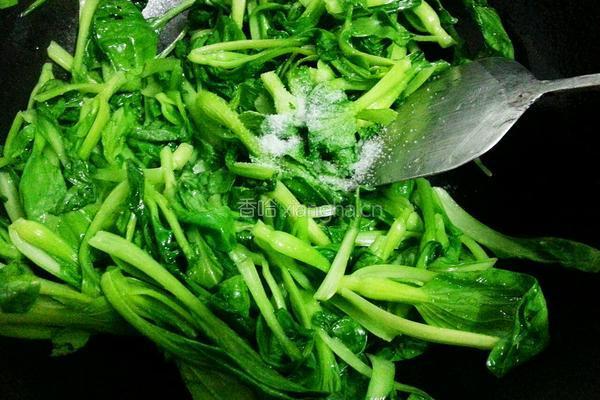 清炒青菜的做法图解4