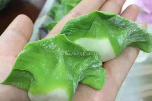 白菜（财）水饺的做法图解3