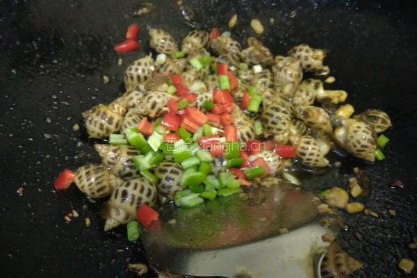 辣酒煮花螺的做法图解9
