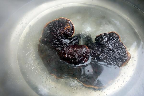 药材鸡的做法图解3