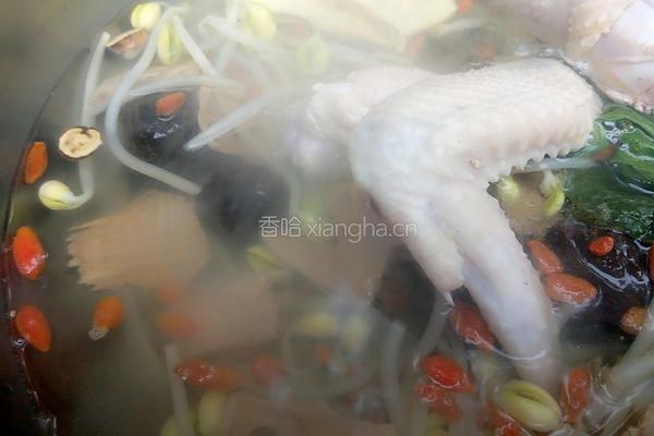 药材鸡的做法图解4