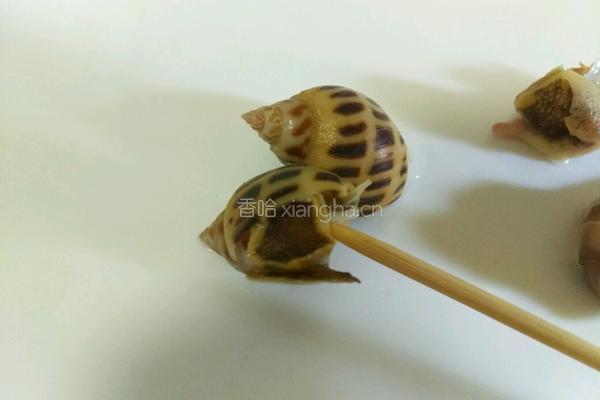 温拌海螺的做法图解5