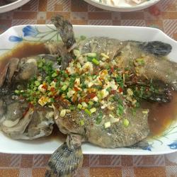 葱油老虎斑