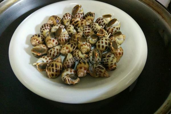 凉拌海螺的做法图解3