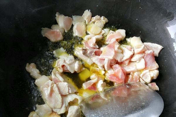 猪肉白菜炖粉条的做法图解5