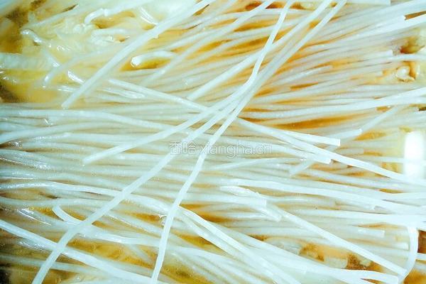 猪肉白菜炖粉条的做法图解9