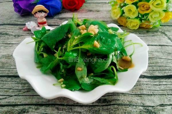 凉拌荆芥的做法图解6
