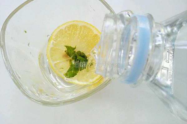 柠檬薄荷苏打水的做法图解5