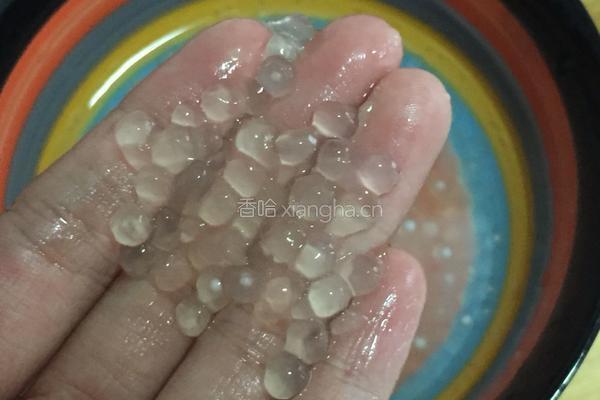 香芋牛奶西米露的做法图解4