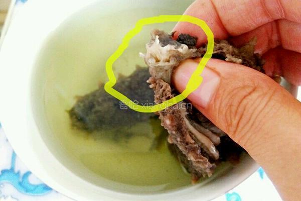 海参泡发方法的做法图解4