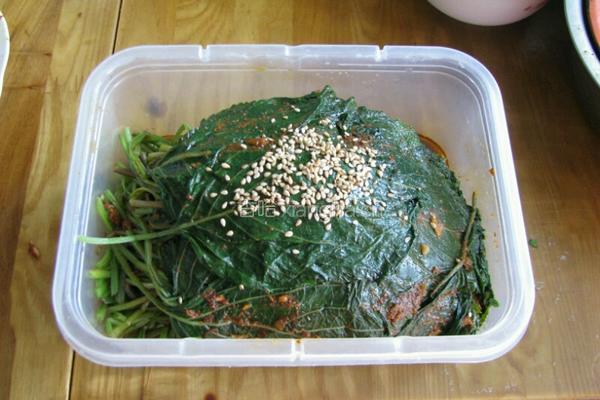 苏子叶咸菜的做法图解4