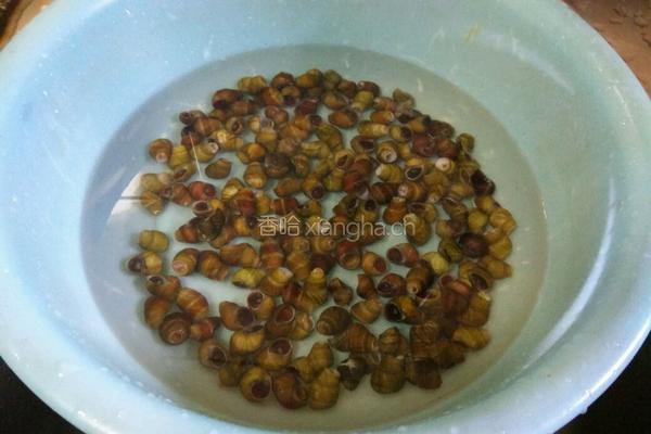 水煮田螺的做法图解1