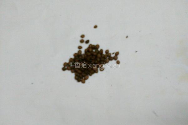 决明子杞菊水的做法图解2