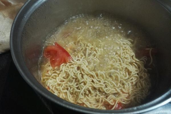 西红柿牛腩面的做法图解7