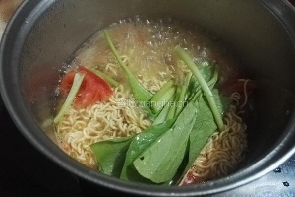 西红柿牛腩面的做法图解8