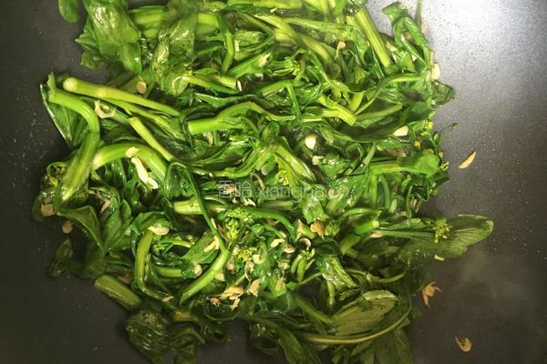 虾皮炒青菜心的做法图解5