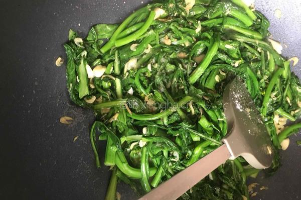 虾皮炒青菜心的做法图解6