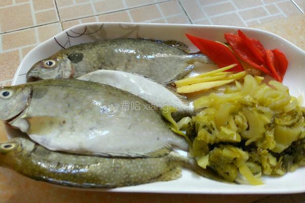 酸菜鱼汤的做法图解2