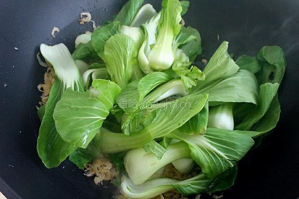 油菜炒虾皮的做法图解4