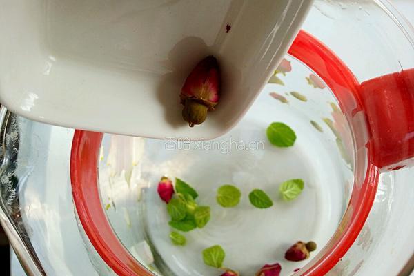 薄荷玫瑰花茶的做法图解3