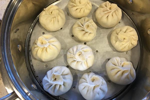 豆角肉包子的做法图解13