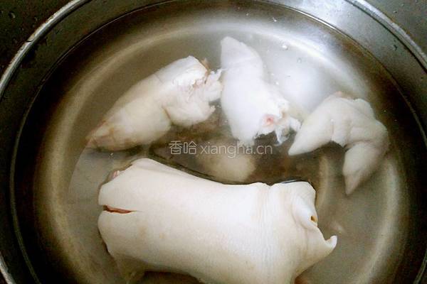 萝卜猪脚汤的做法图解2