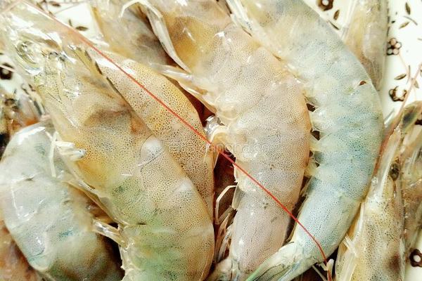 油菜虾仁水饺的做法图解4