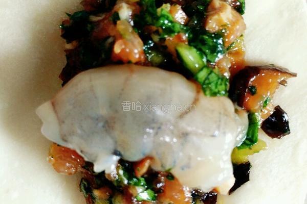 油菜虾仁水饺的做法图解14