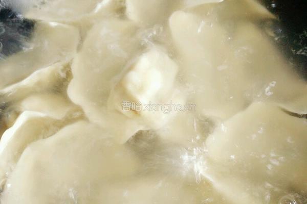 油菜虾仁水饺的做法图解17