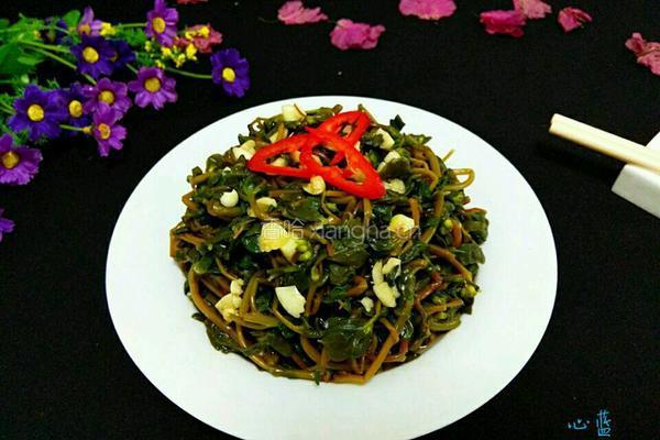 凉拌野菜马齿苋