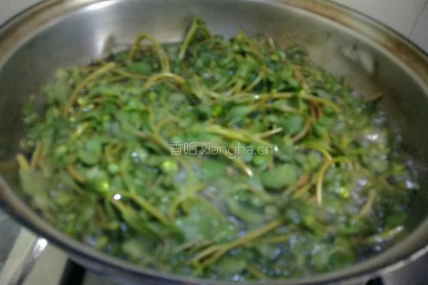 凉拌野菜马齿苋的做法图解3