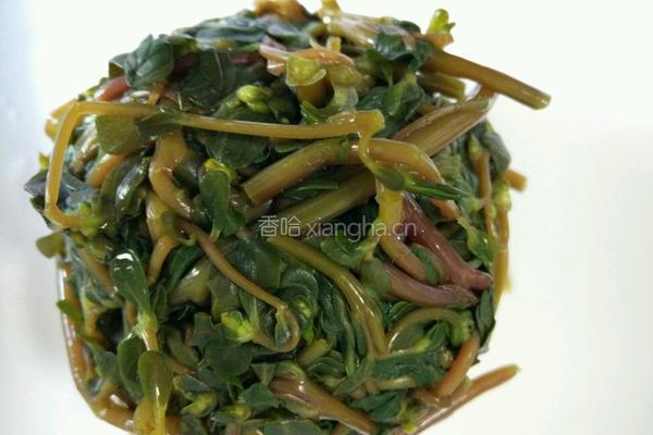 凉拌野菜马齿苋的做法图解5