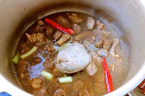 烧牛肉的做法图解6