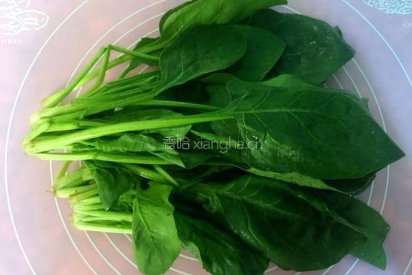 水煮菠菜的做法图解1