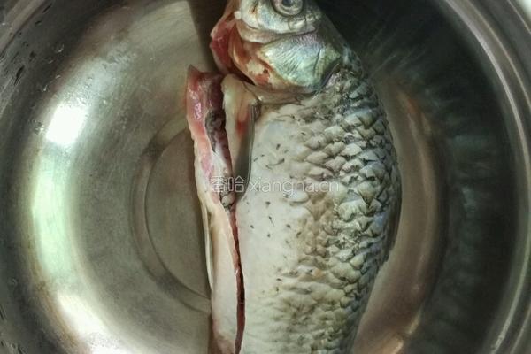 鲫鱼萝卜豆腐汤的做法图解1