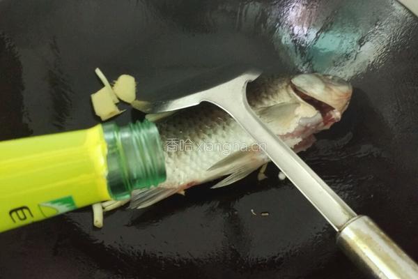 鲫鱼萝卜豆腐汤的做法图解5