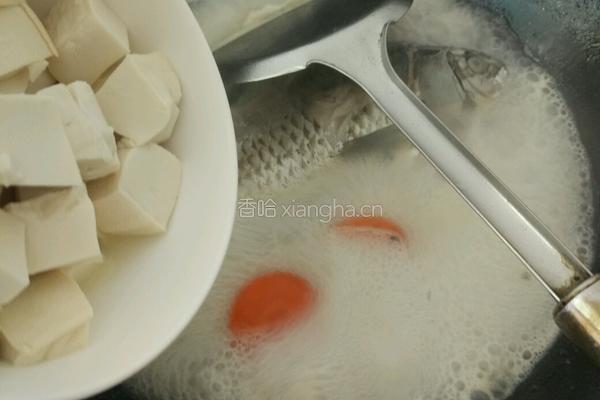 鲫鱼萝卜豆腐汤的做法图解7