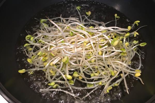 凉拌黑豆芽的做法图解3