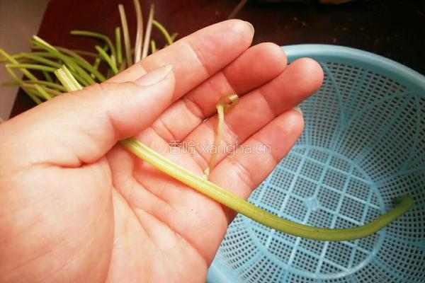 清爆山芋梗的做法图解2