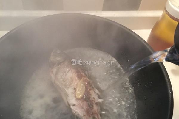 白萝卜丝鲫鱼汤的做法图解4