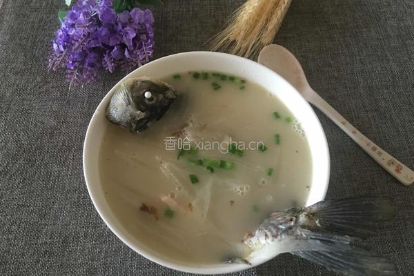 白萝卜丝鲫鱼汤的做法图解8