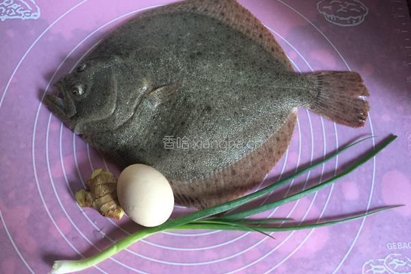 清炖多宝鱼的做法图解1