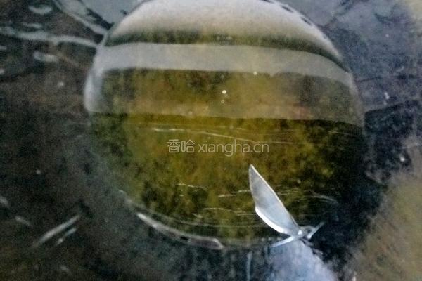 辣椒肉丝炒面的做法图解5