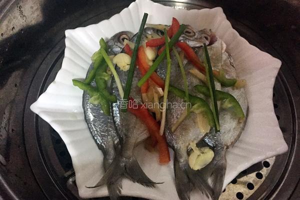 清蒸小鲳鱼的做法图解5