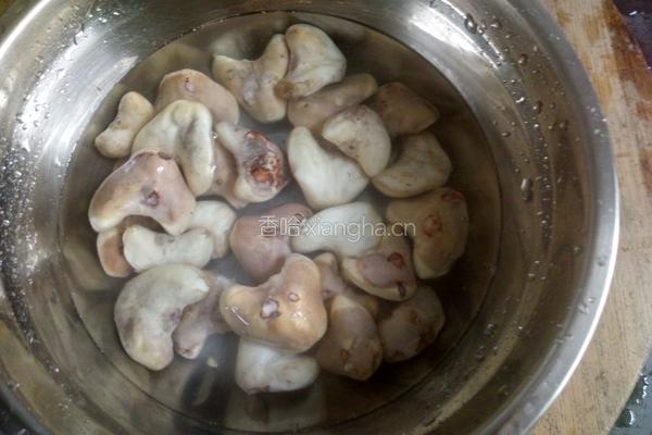 菱角小炒肉的做法图解2