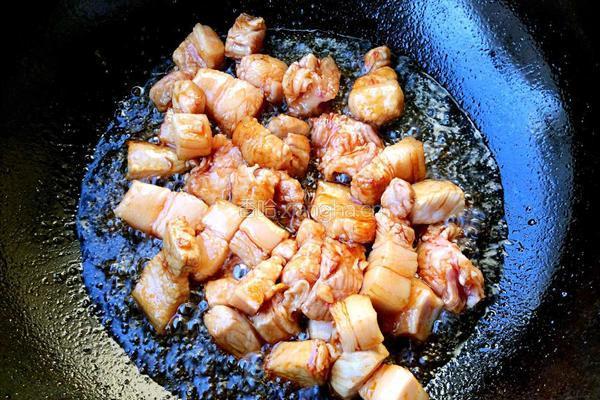 红烧肉炖白菜粉条的做法图解6