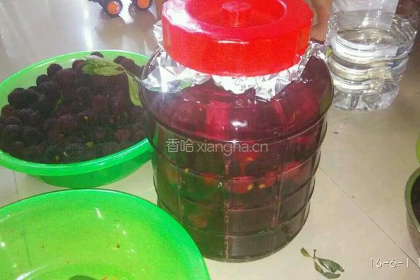 杨梅酒的做法图解4